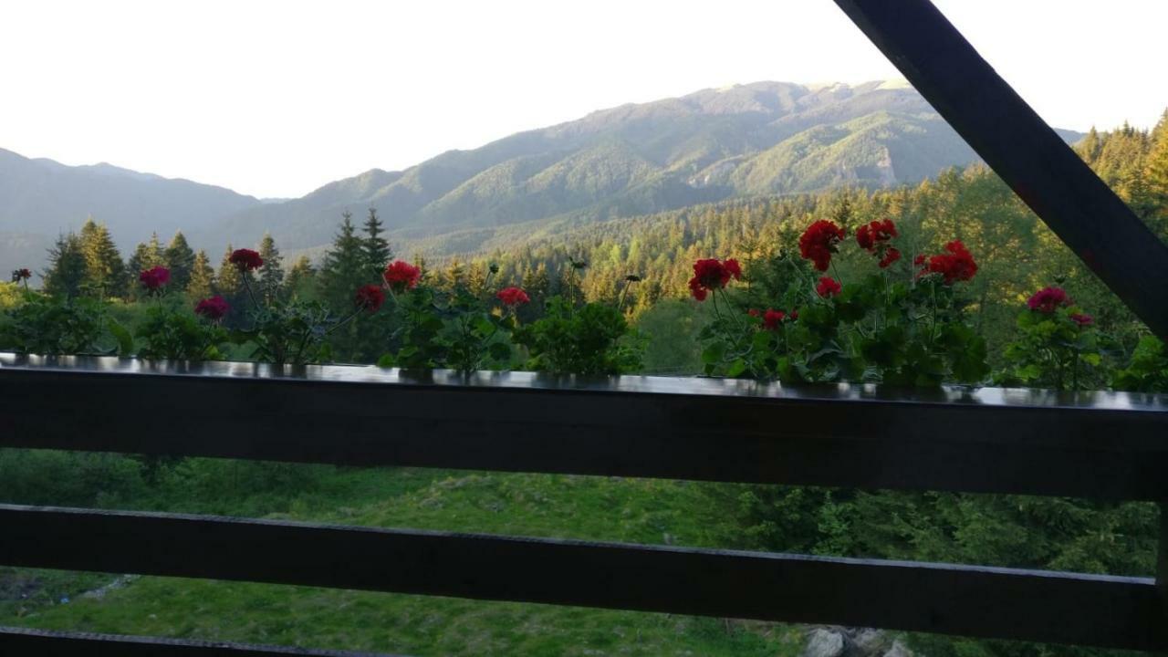 Nature House Predeal Bagian luar foto