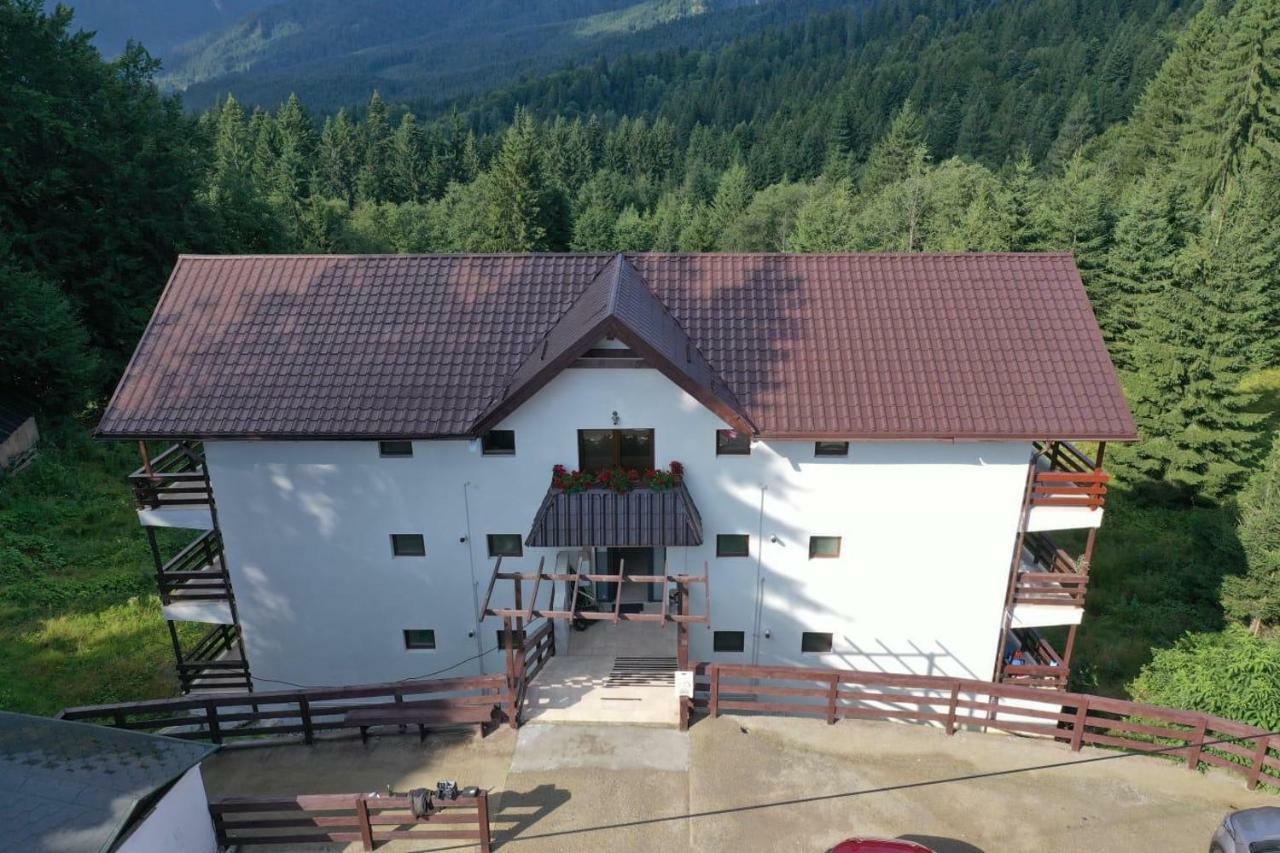 Nature House Predeal Bagian luar foto
